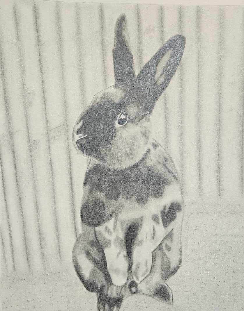 Custom Charcoal Drawing