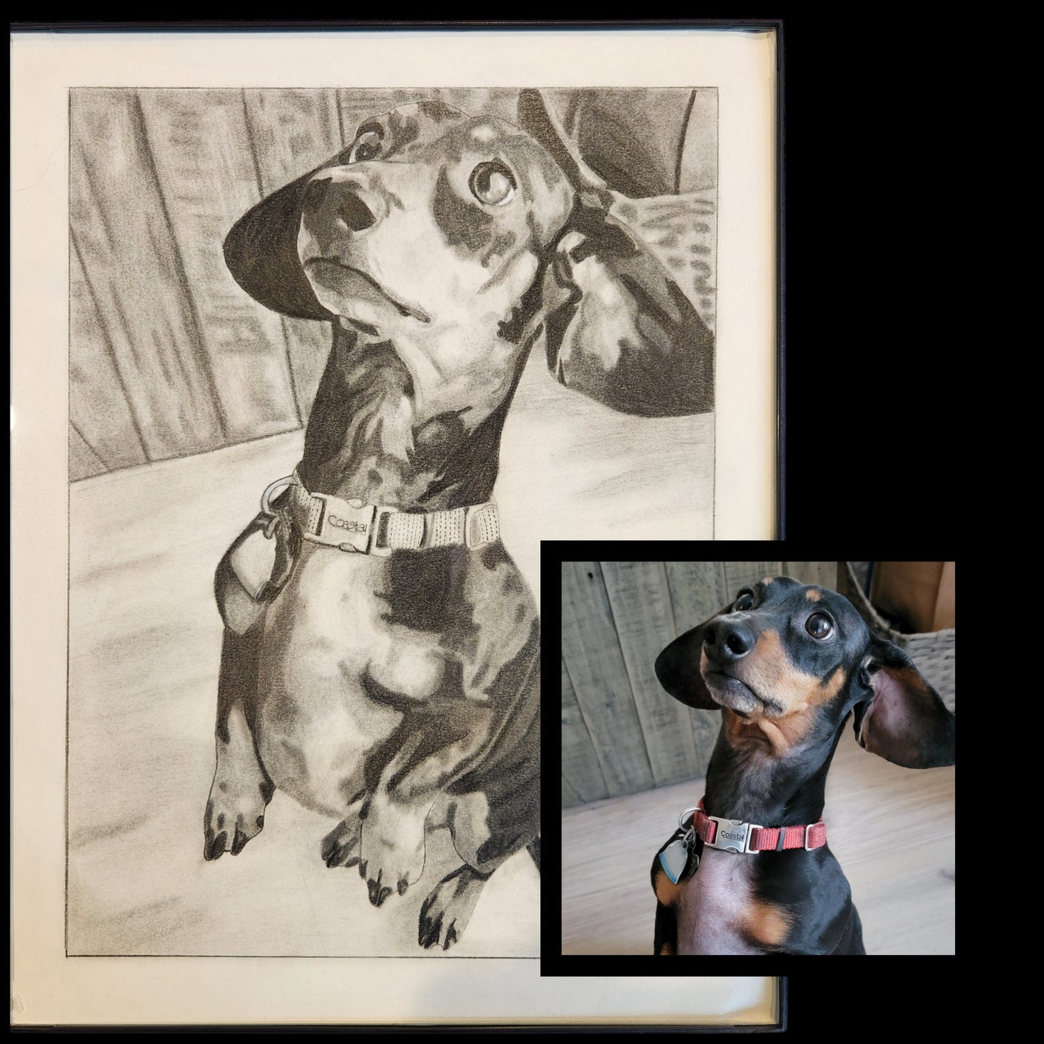 Custom Pet Charcoal Drawing